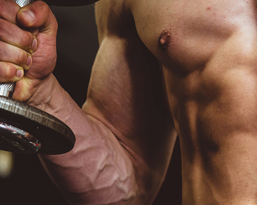 Muscles