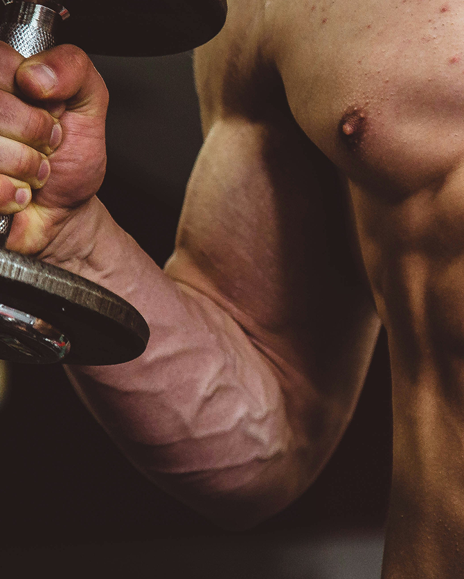 Muscles