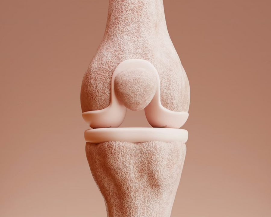 Bones