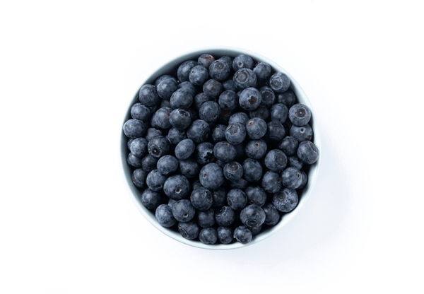 Organic Blueberry Fruit Powder
