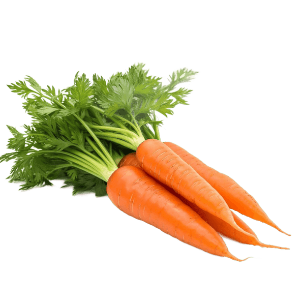 Organic Carrot root powder