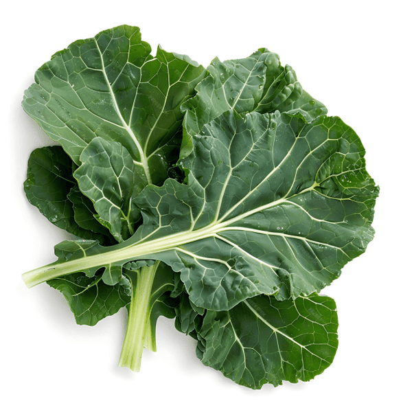 Organic Collards Leaf Powder