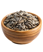 [HIGHLIGHT]Sunflower Seed Protein[/HIGHLIGHT]