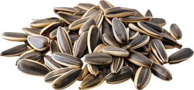 Organic Sunflower Seed