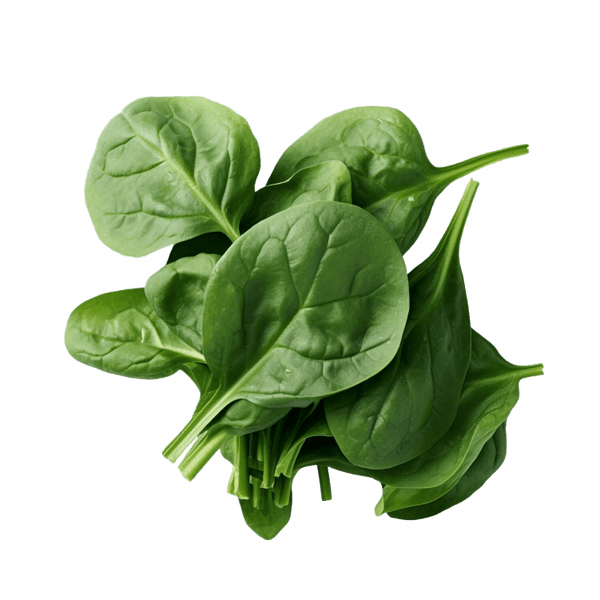 Organic Spinach Leaf Powder