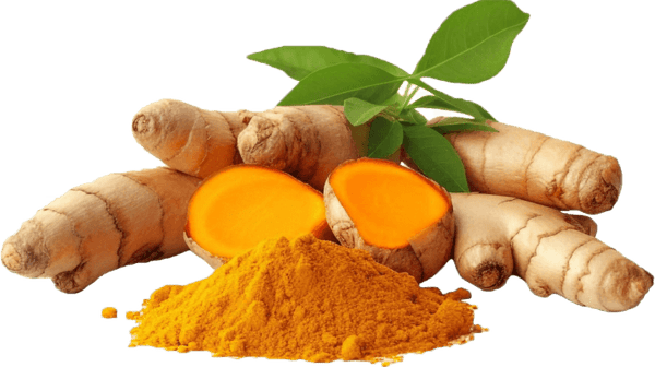 Organic Turmeric Extract