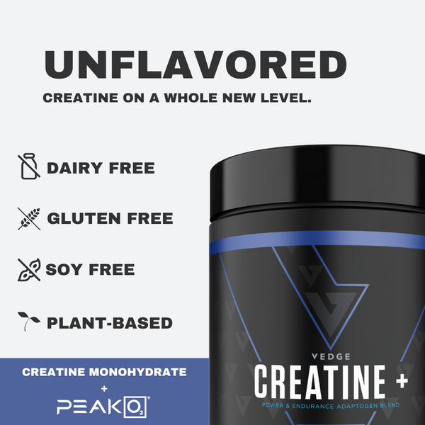CREATINE+