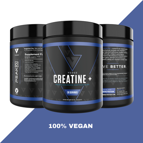 CREATINE+